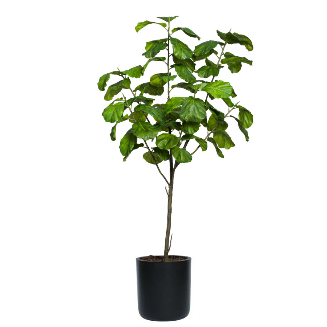 Artificial fiddle leaf fig tree in black ceramic pot with lush green leaves