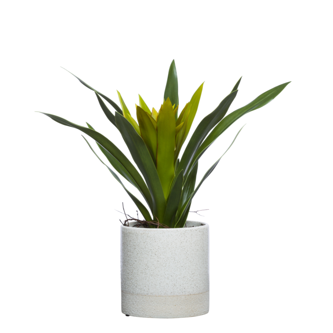 Artificial green bromeliad plant in a white ceramic pot on white background