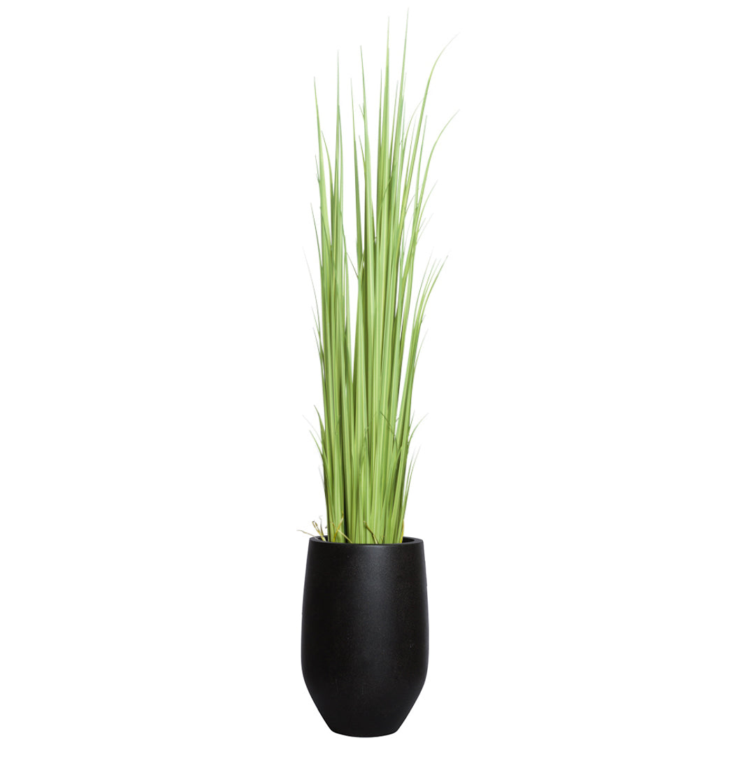 Artificial gladiolus grass in a modern black vase, tall green foliage, white background