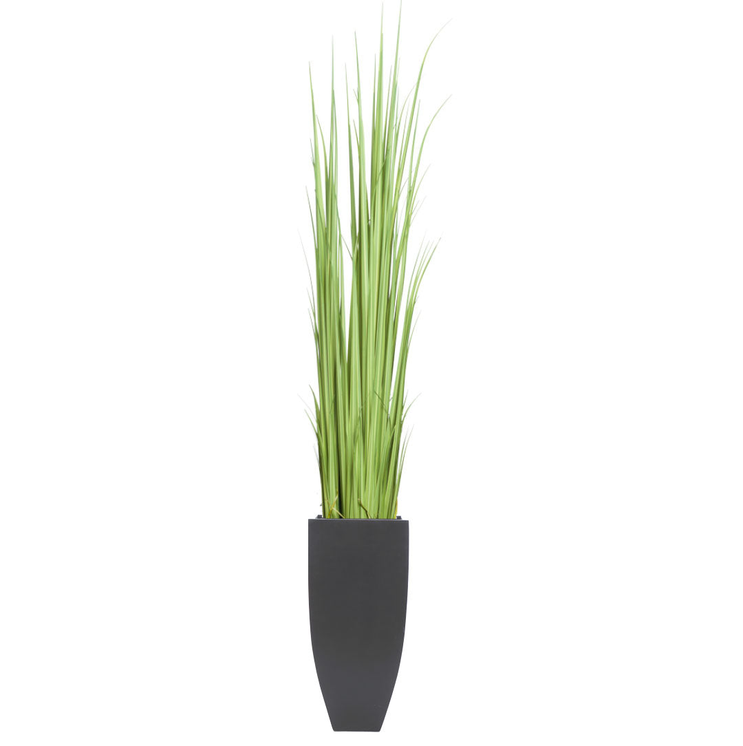 Artificial gladiolus grass in modern black planter on white background