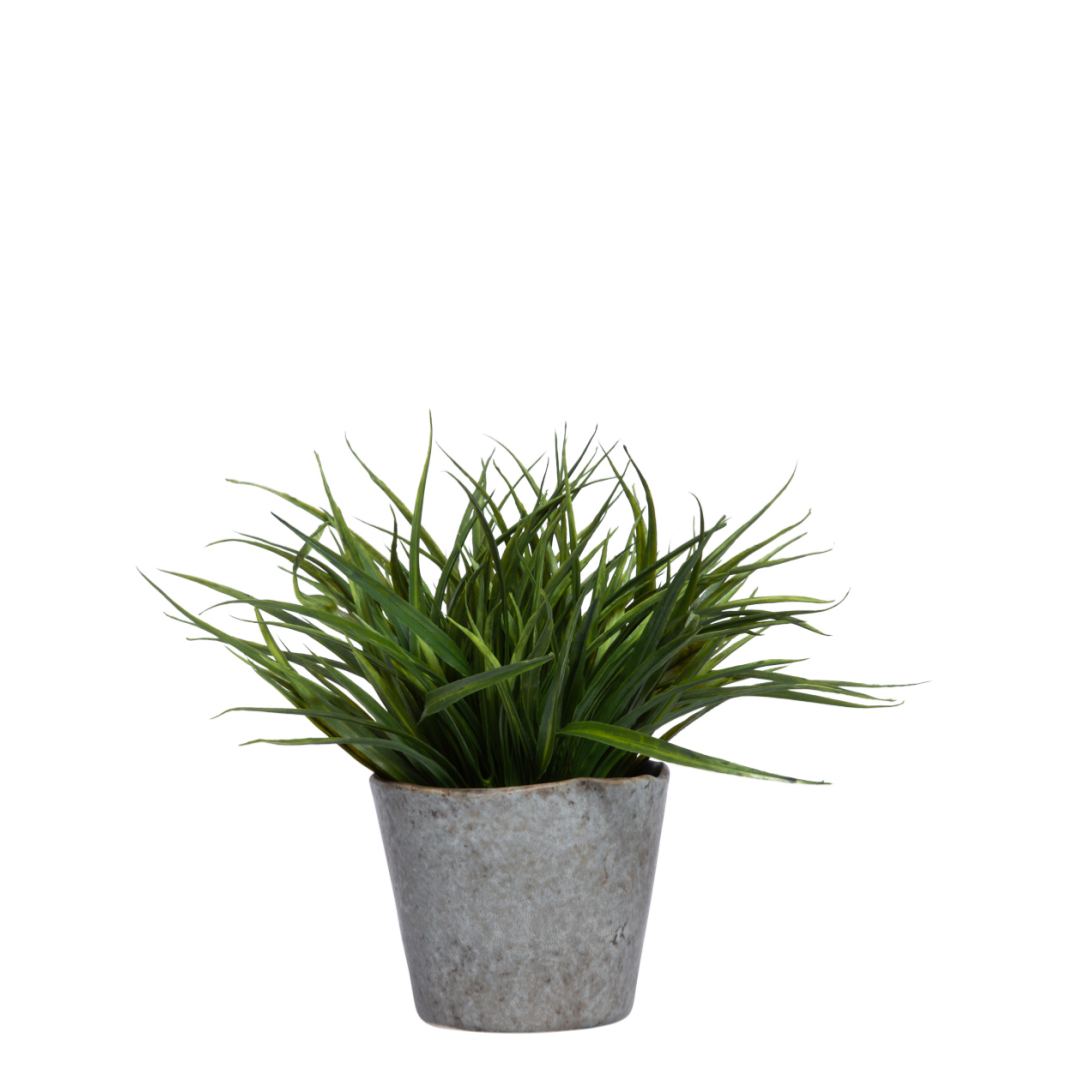 Artificial grass plant in a gray textured pot on a white background