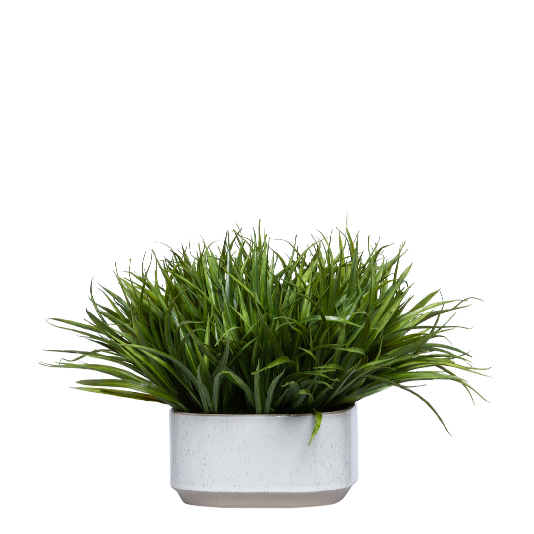 Artificial grass plant in white ceramic pot, realistic greenery decor on white background