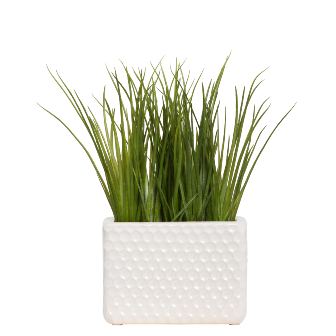 Artificial grass plant in a textured white rectangular ceramic pot