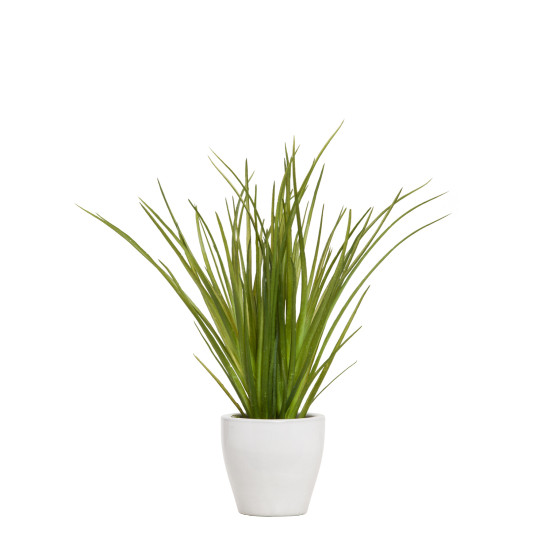 Artificial grass plant in white ceramic pot on white background
