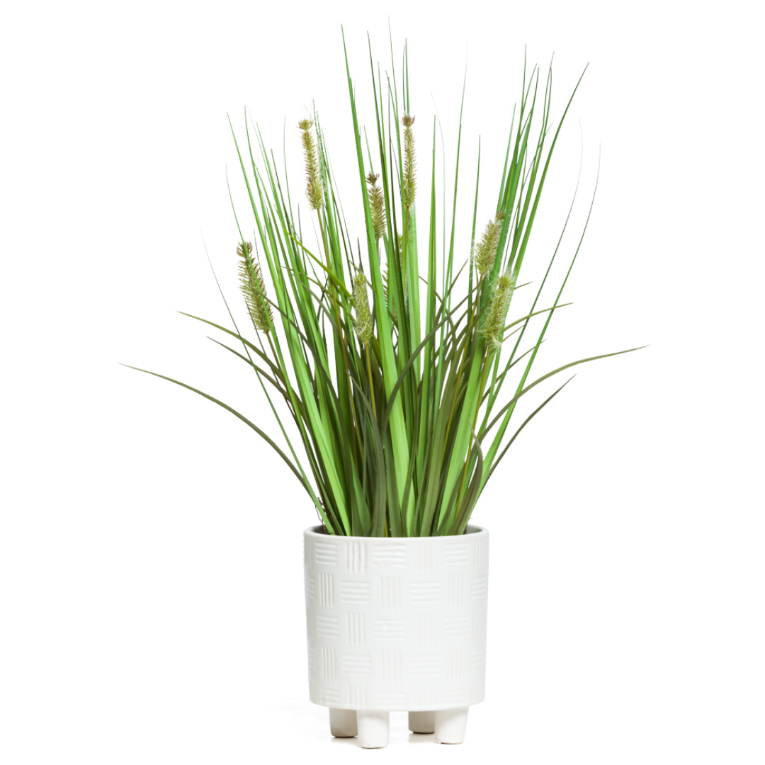 Artificial grass onion plant in modern white textured planter on white background