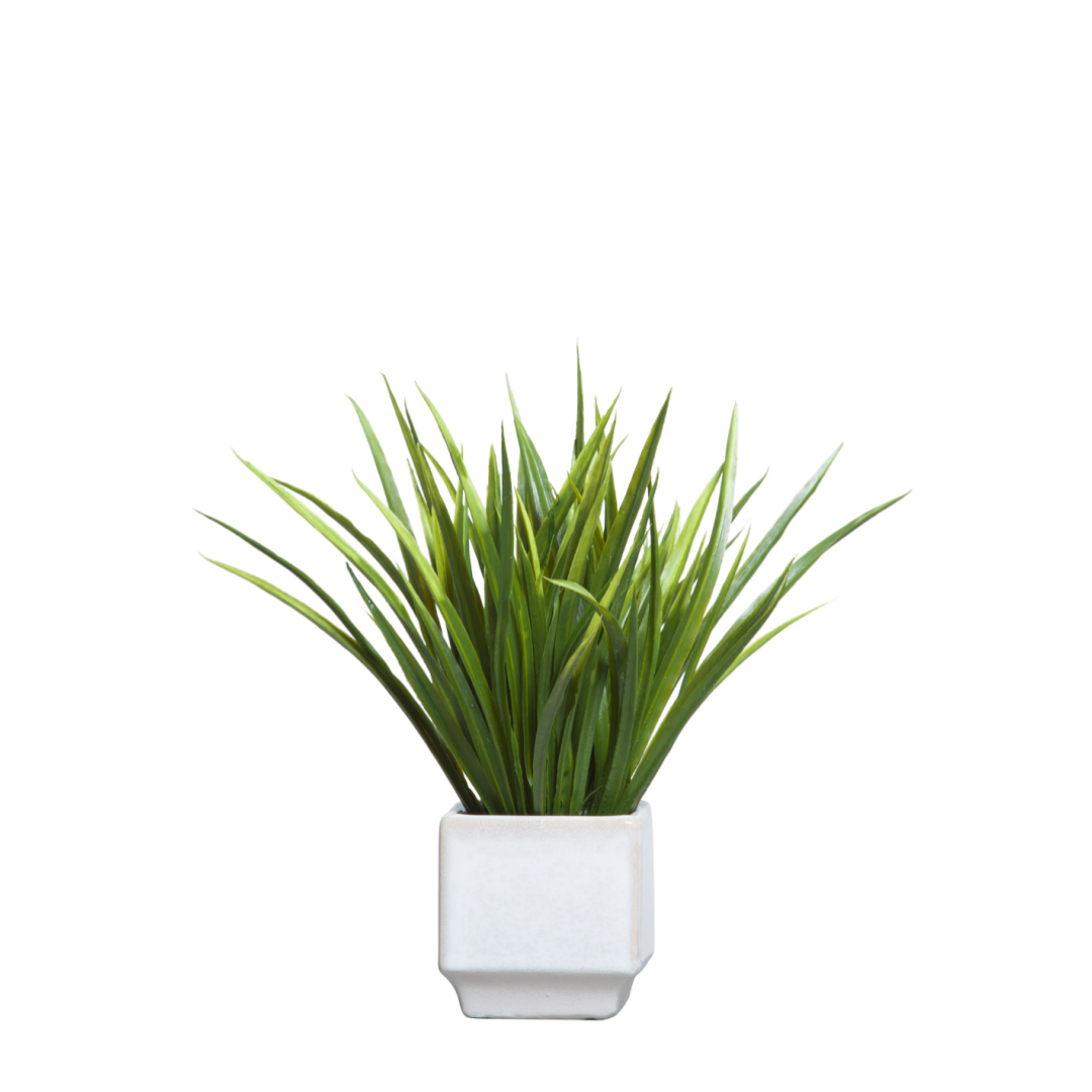 Artificial grass plant in white ceramic square pot on white background