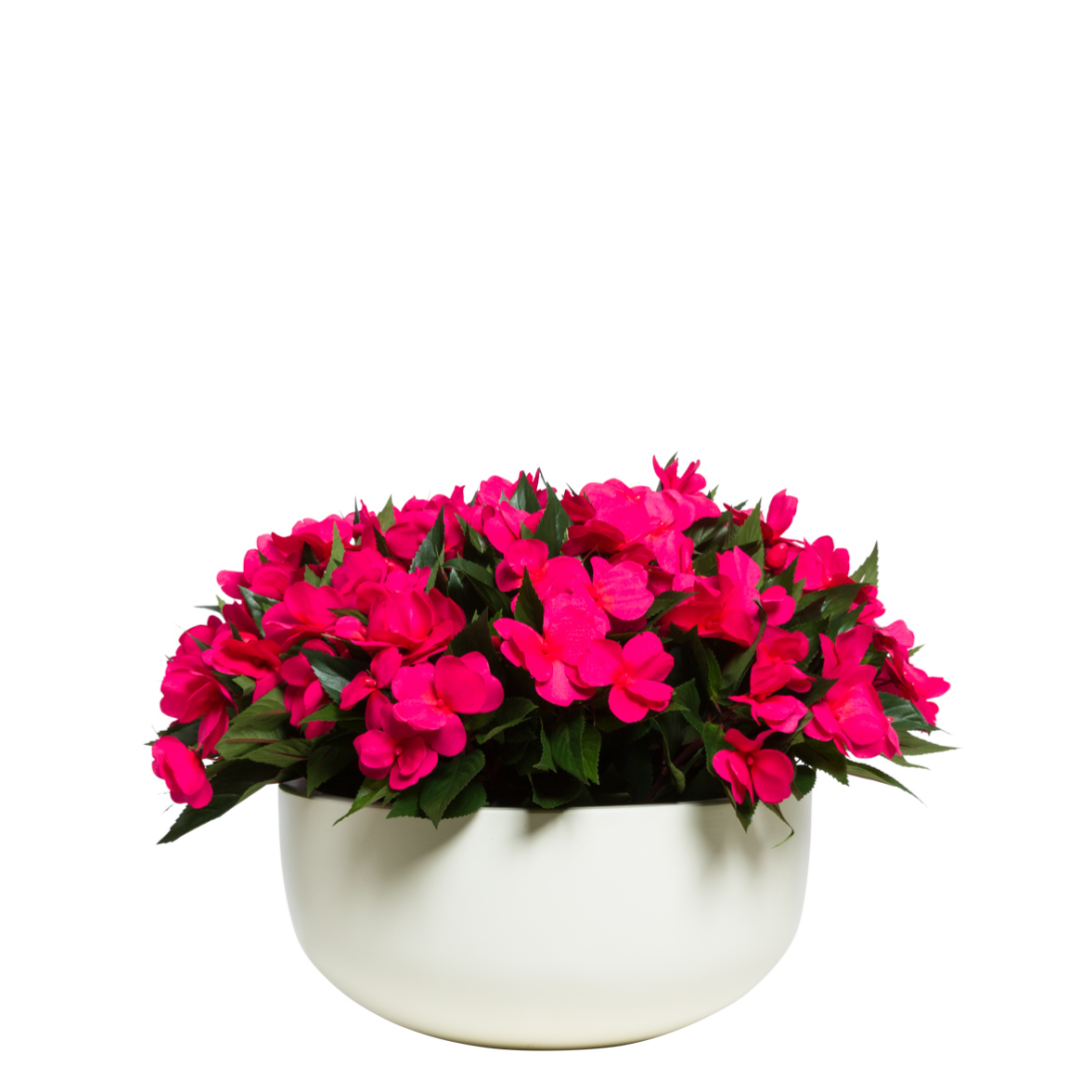 Artificial pink impatiens flowers in a white ceramic bowl planter, lush green leaves