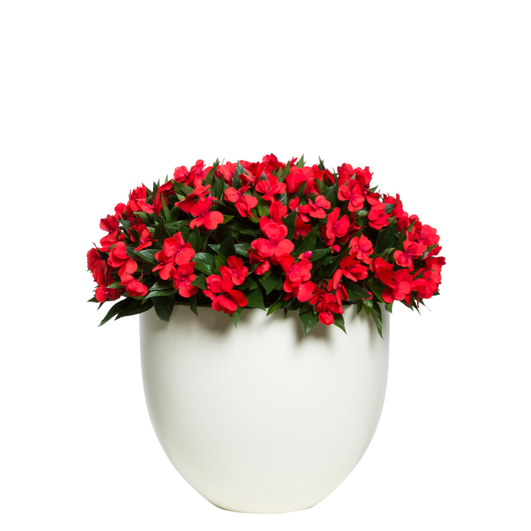 Artificial red impatiens flowers in a modern white planter, realistic silk arrangement