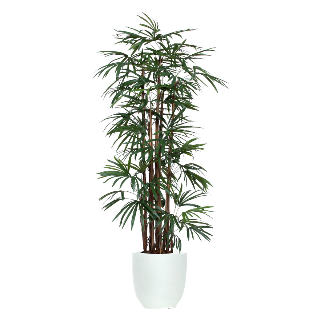 Tall artificial lady finger palm plant with green leaves in a white pot