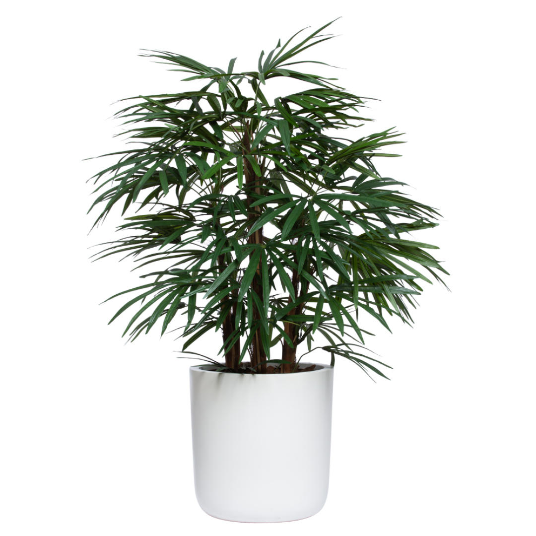 Artificial lady palm plant with lush green leaves in a modern white pot