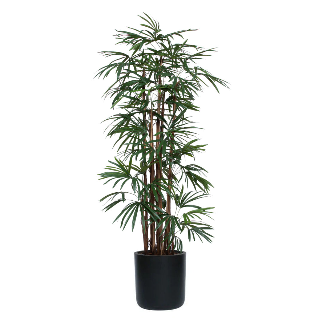 Tall artificial lady finger palm plant in a black pot with realistic green leaves