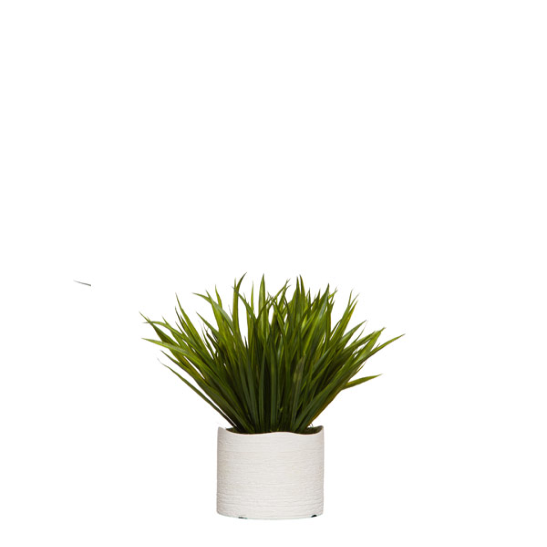 Artificial grass plant in textured white ceramic pot on white background