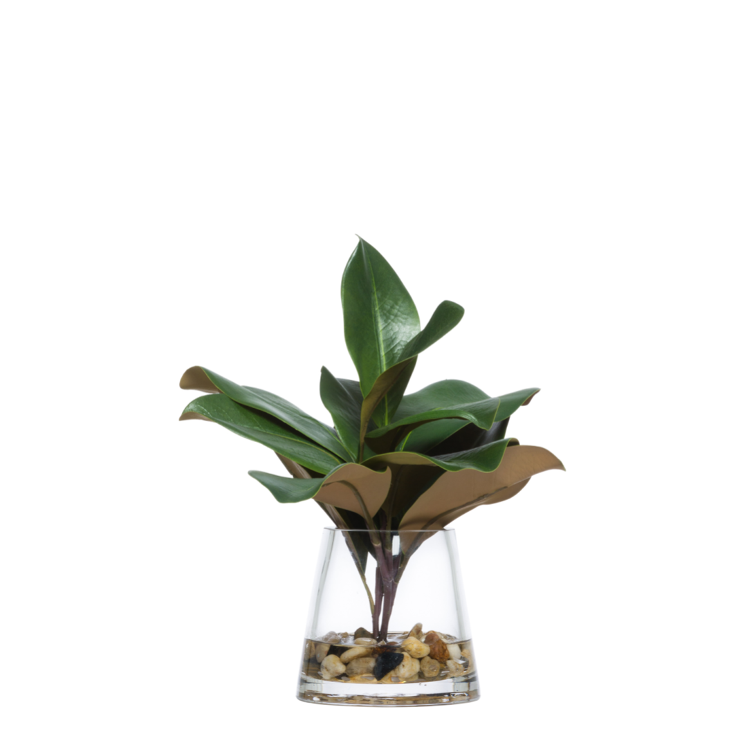 Realistic artificial plant with broad green leaves in a clear glass vase with decorative stones