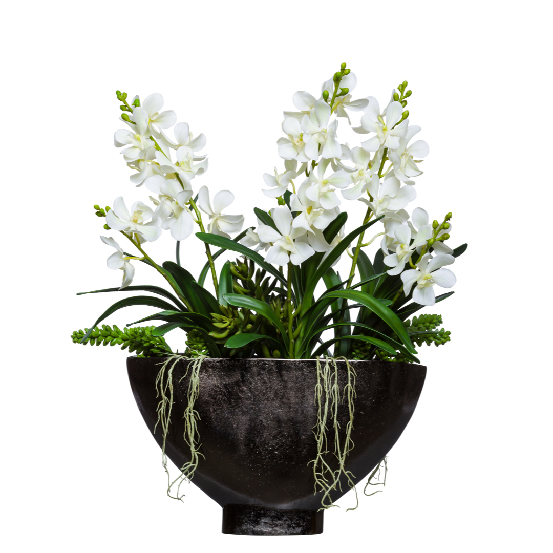 Artificial white orchid arrangement in a black ceramic bowl with green foliage, isolated