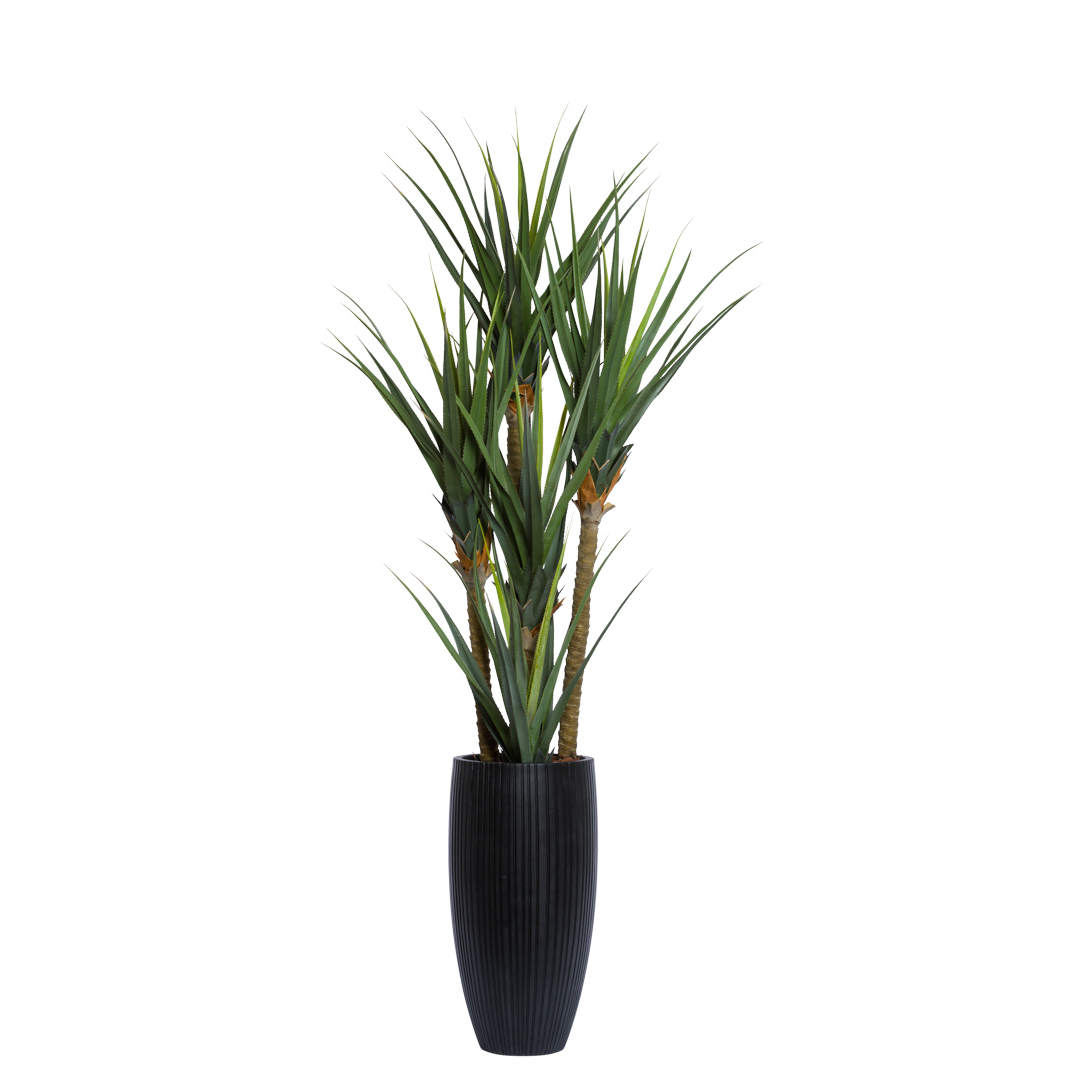 Artificial yucca plant in tall black ribbed pot, realistic green spiky leaves, white background
