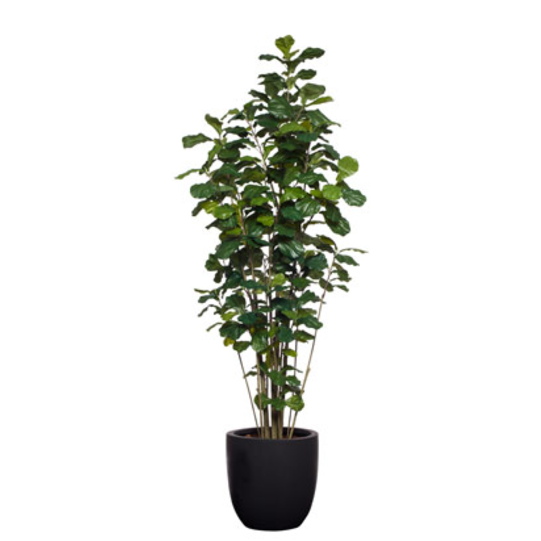 Artificial fiddle leaf fig tree in a black planter, realistic greenery decor