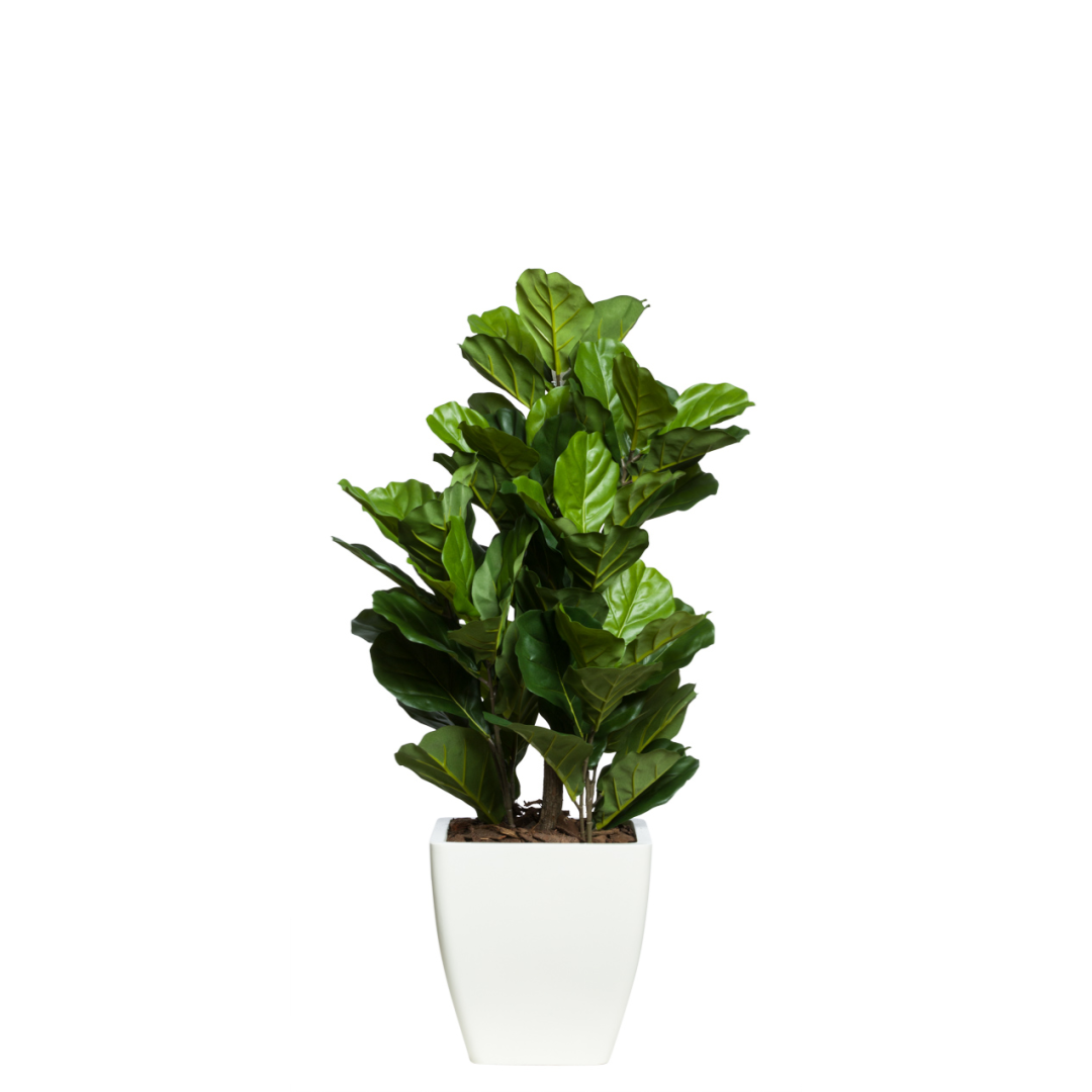 Artificial fiddle leaf fig plant with glossy green leaves in a modern white planter