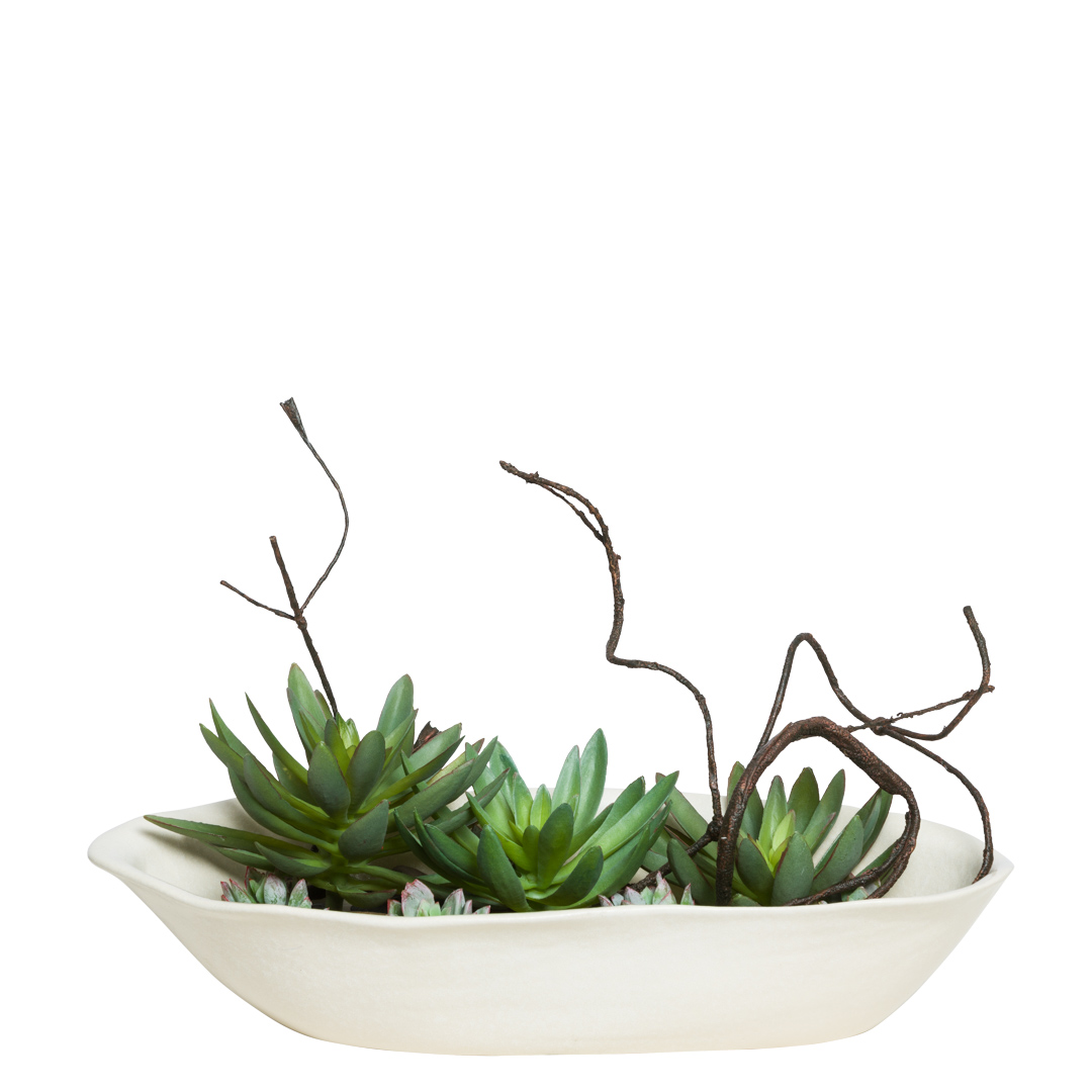 Artificial succulent arrangement in white ceramic bowl with decorative branches
