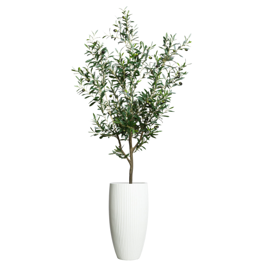 Artificial olive tree with green leaves and olives in a tall ribbed white planter