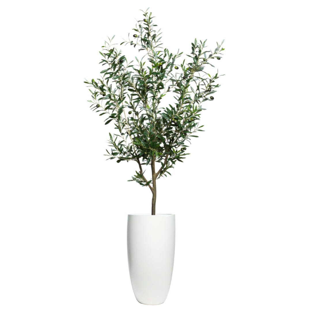 Artificial olive tree with green leaves and olives in a tall white smooth planter