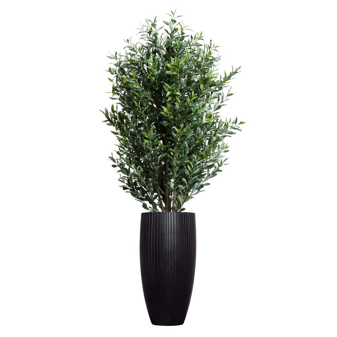 Artificial olive tree in tall black ribbed planter, realistic green foliage, isolated on white