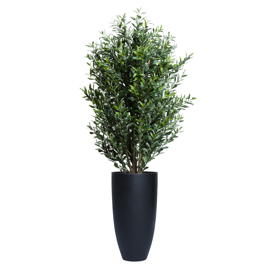 Artificial olive tree in tall smooth black planter on white background