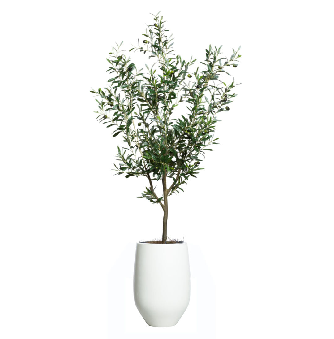 Artificial olive tree with green leaves and olives in a modern white tapered planter