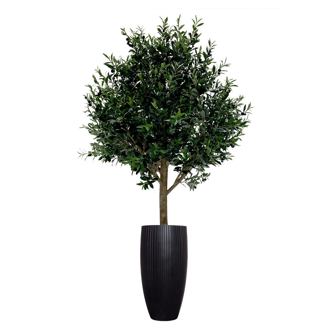 Artificial olive tree in tall black ribbed planter, lush green foliage against white background