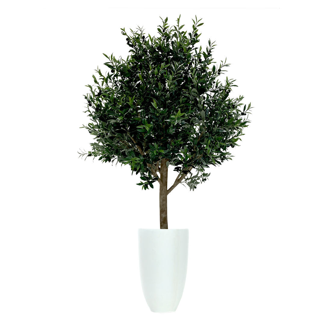 Artificial olive tree in a tall white planter with lush green leaves, isolated on white