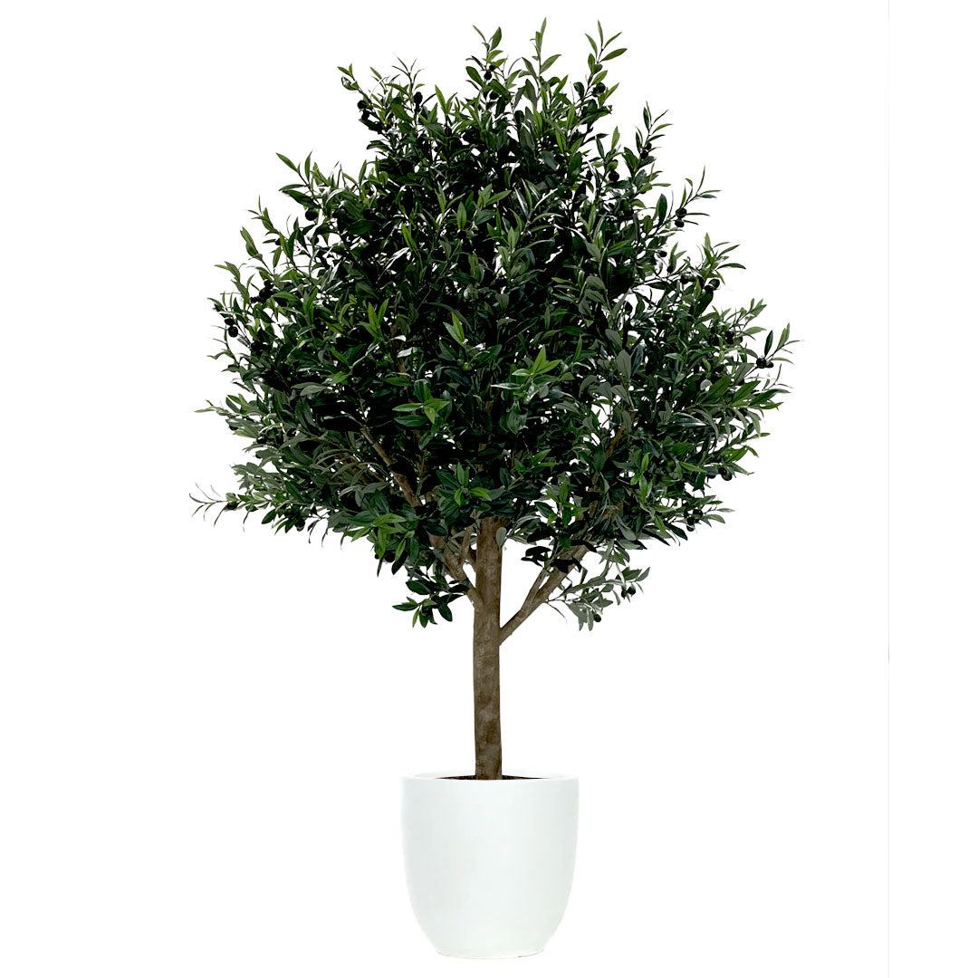 Artificial olive tree with dense green foliage in a white tapered planter on white background