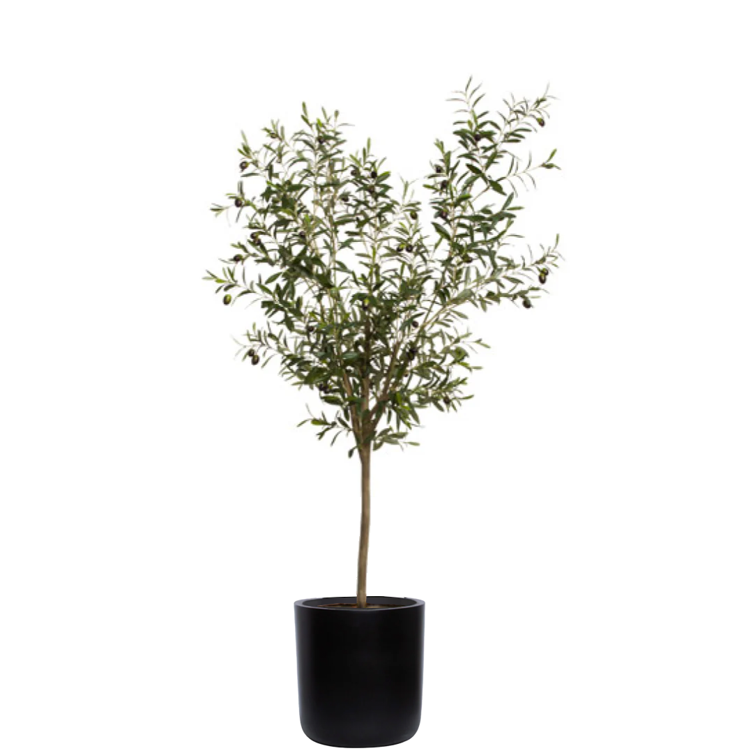 Artificial olive tree in a black cylinder planter against a white background
