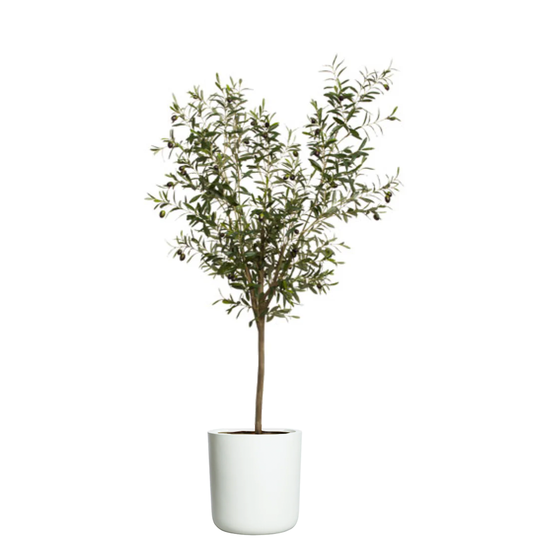 Artificial olive tree in white cylinder planter with realistic green leaves