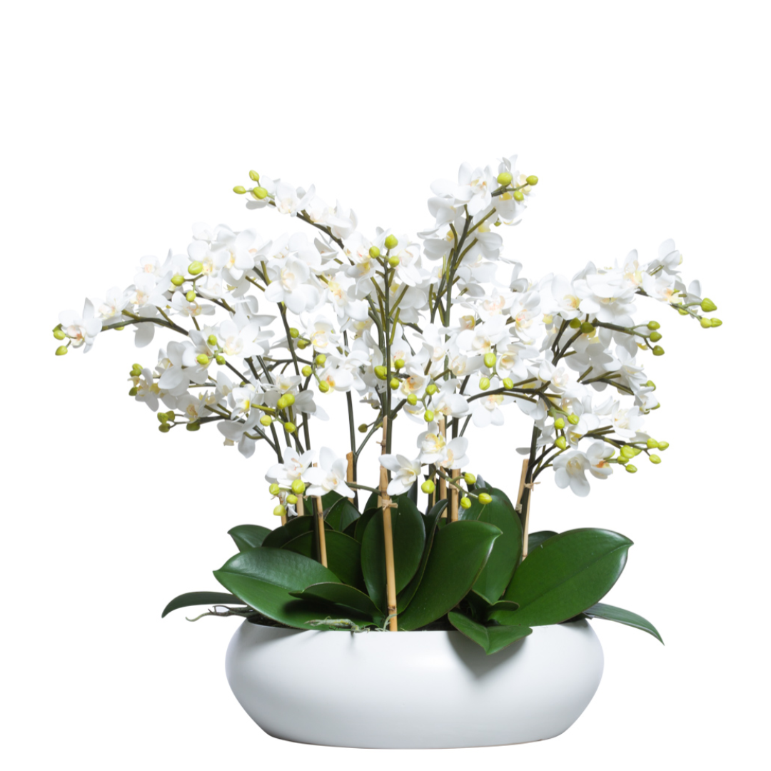 Artificial white phalaenopsis orchid arrangement in a modern white ceramic pot