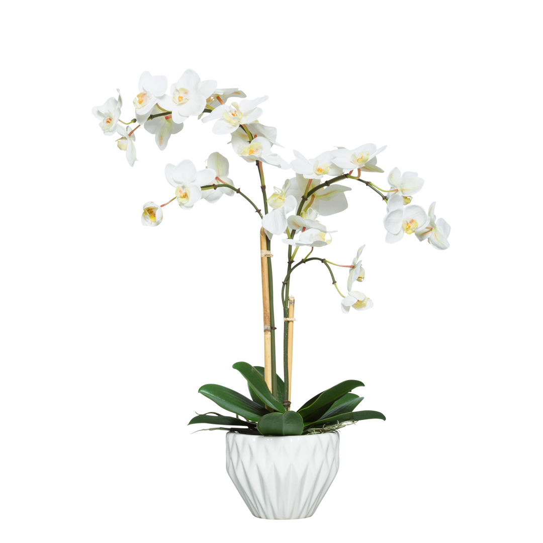 White phalaenopsis orchid arrangement in geometric white ceramic pot, realistic faux plant