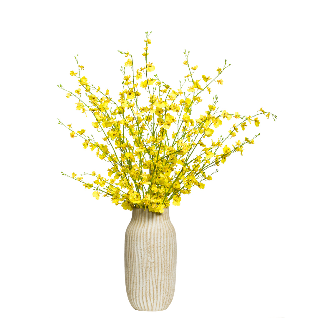Yellow Oncidium orchid stems in a textured beige vase on a white background