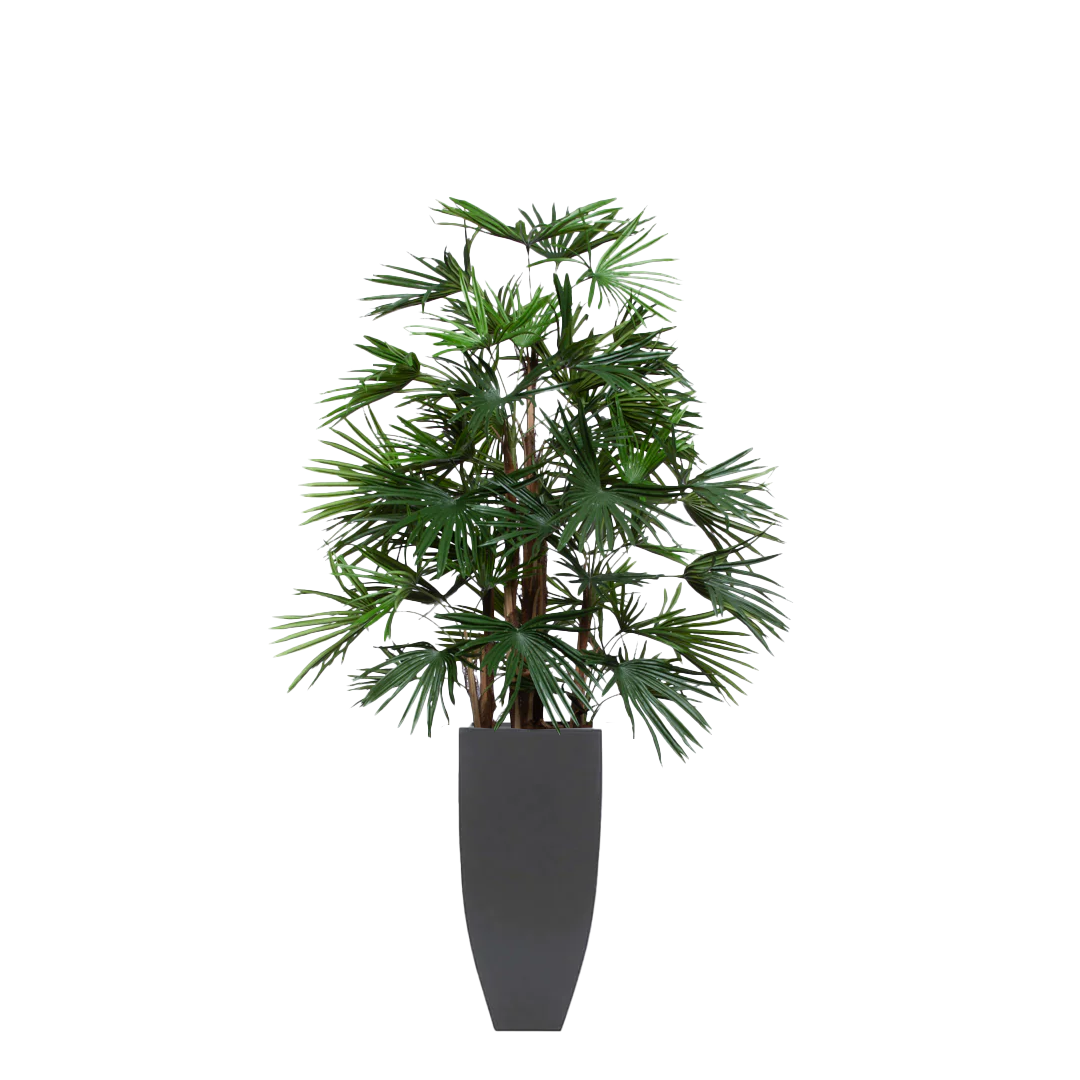 Artificial raphis palm tree in a tall matte black planter, realistic green foliage