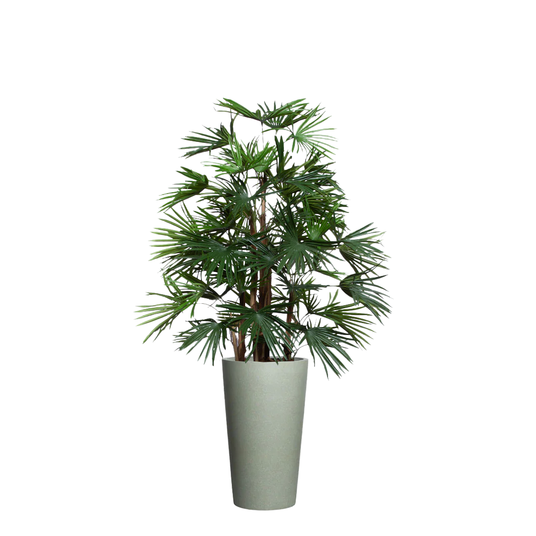 Artificial palm tree with fan-shaped leaves in a tall gray planter on white background