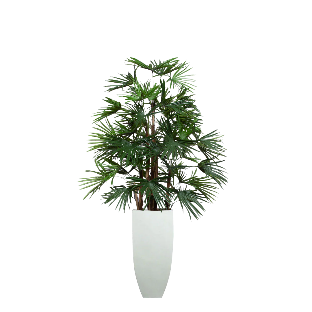 Artificial raphis palm tree in a tall white planter on a white background