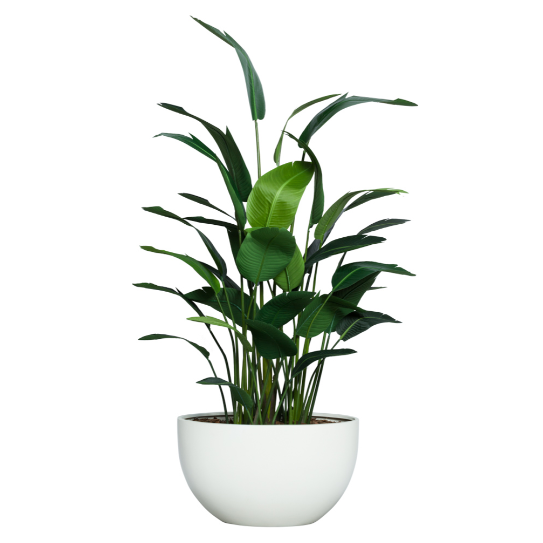 Artificial tropical palm plant with wide green leaves in a modern white pot