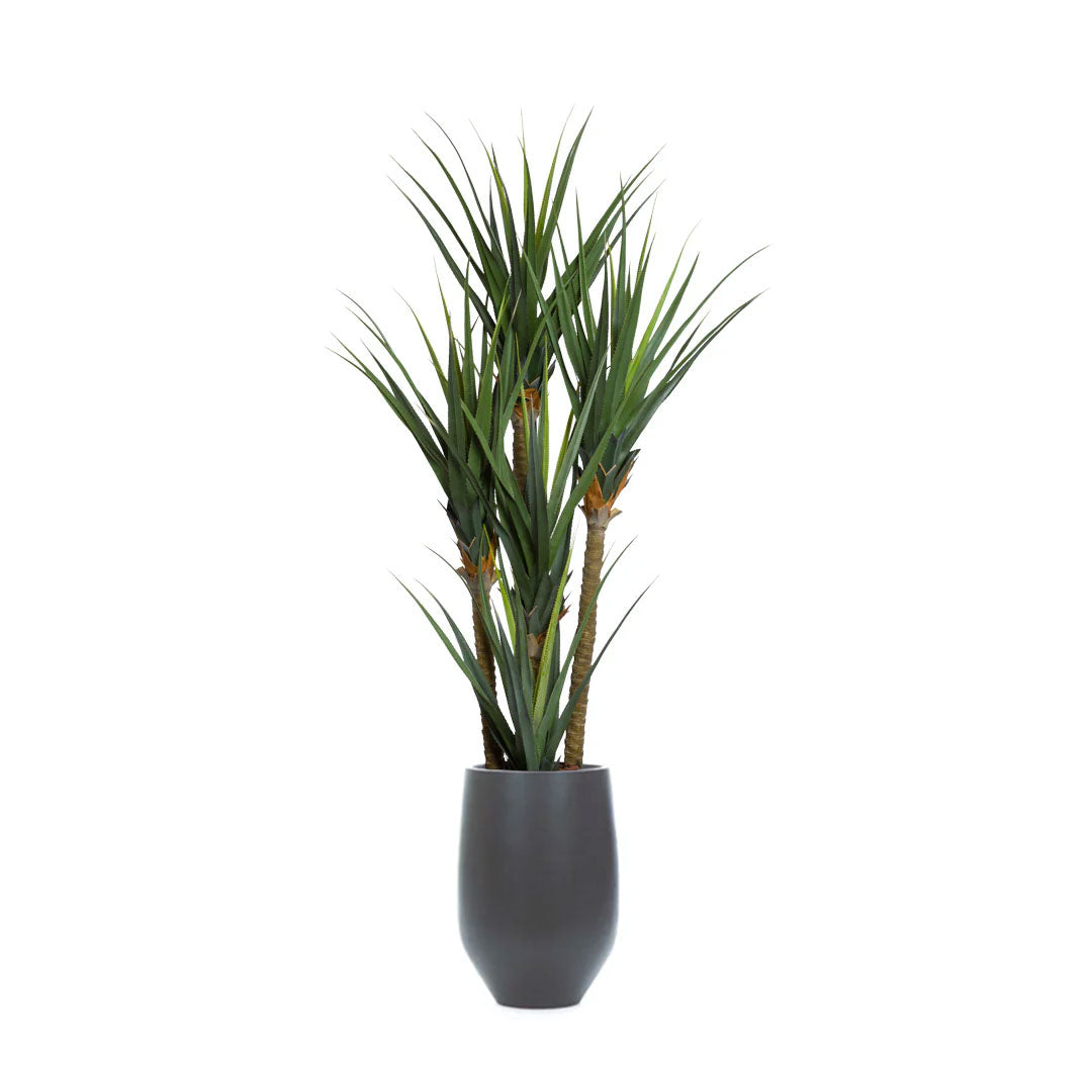 Artificial pandanus plant in a sleek black tapered pot on a white background