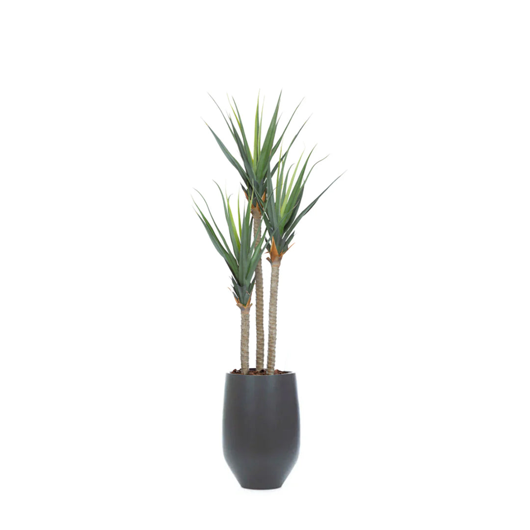 Artificial pandanus plant with tall green leaves in a black tapered pot, white background.