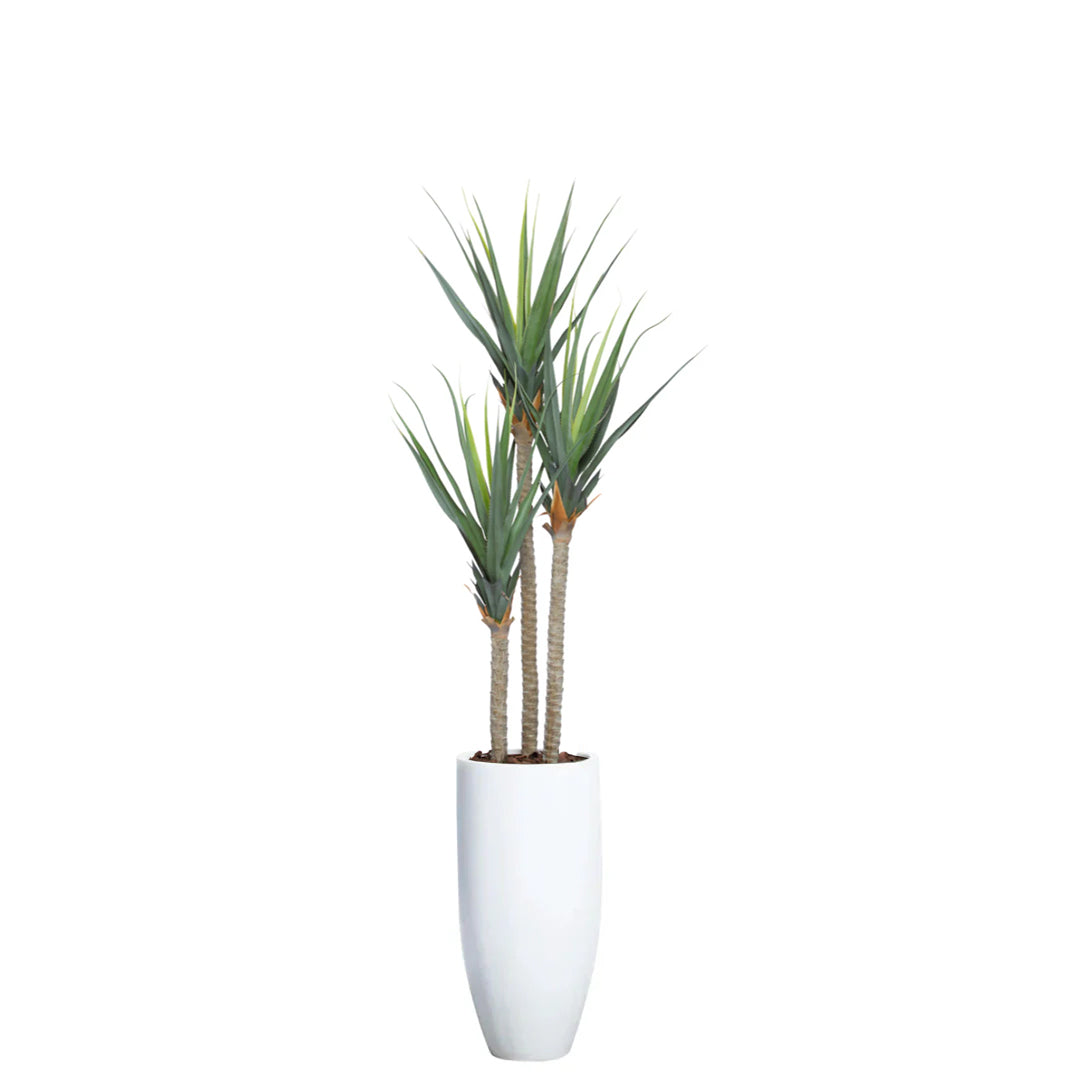 Artificial pandanus plant in tall white modern planter on white background