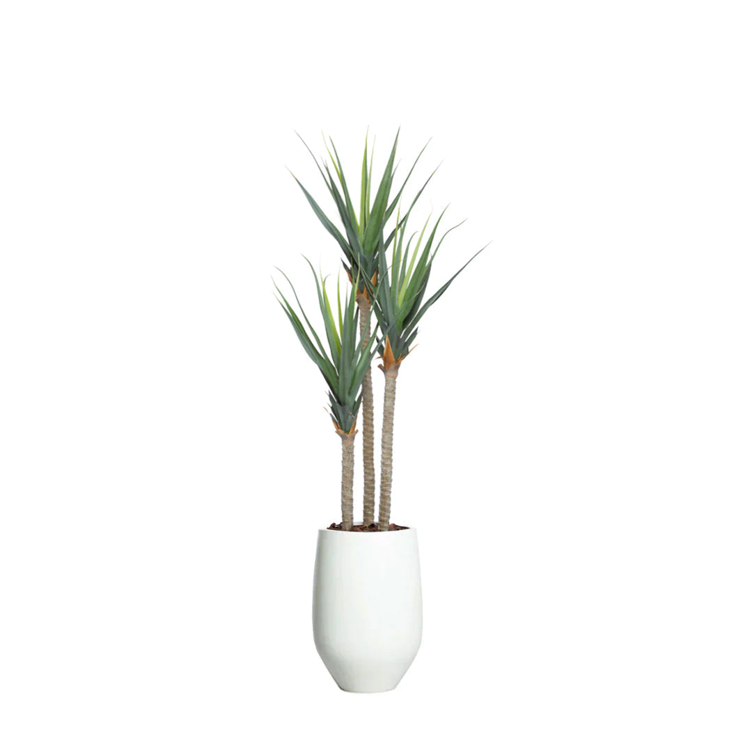 Artificial pandanus plant with green spiky leaves in a modern white tapered pot