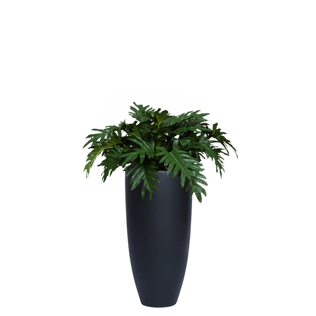 Artificial Philodendron Selloum in a tall black smooth planter on white background