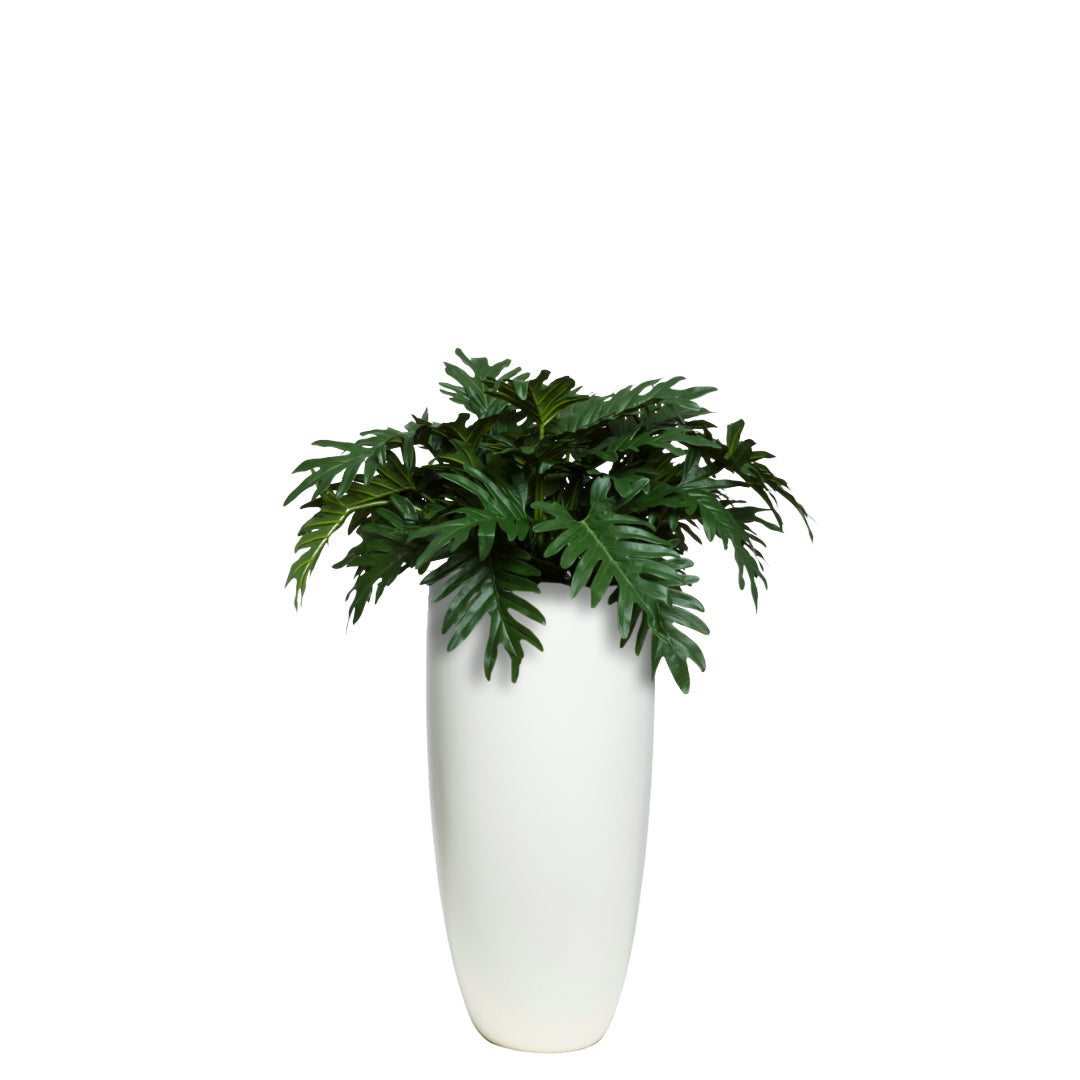 Lush artificial philodendron selloum plant in a tall white vase on white background