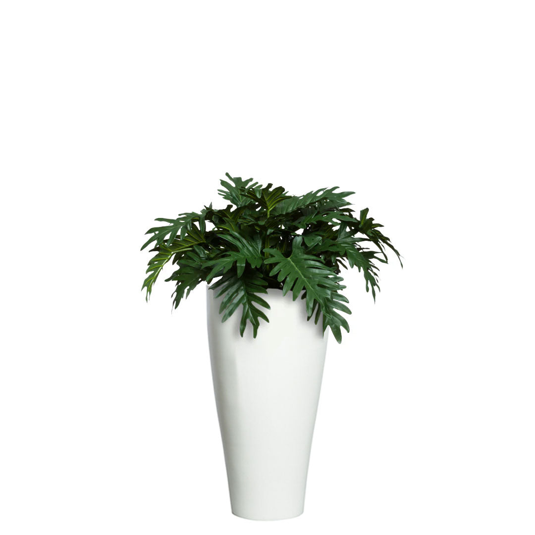 Philodendron Selloum artificial plant in a tall modern white pot on a white background