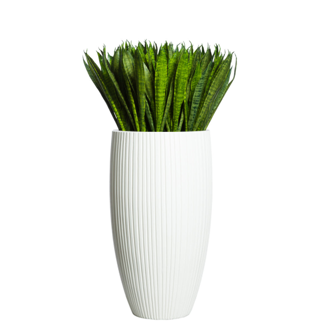 Artificial sansevieria plant in tall ribbed white planter on white background