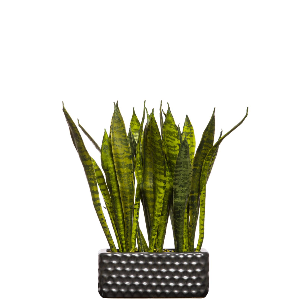 Artificial sansevieria plant in a textured black rectangular pot, isolated on white