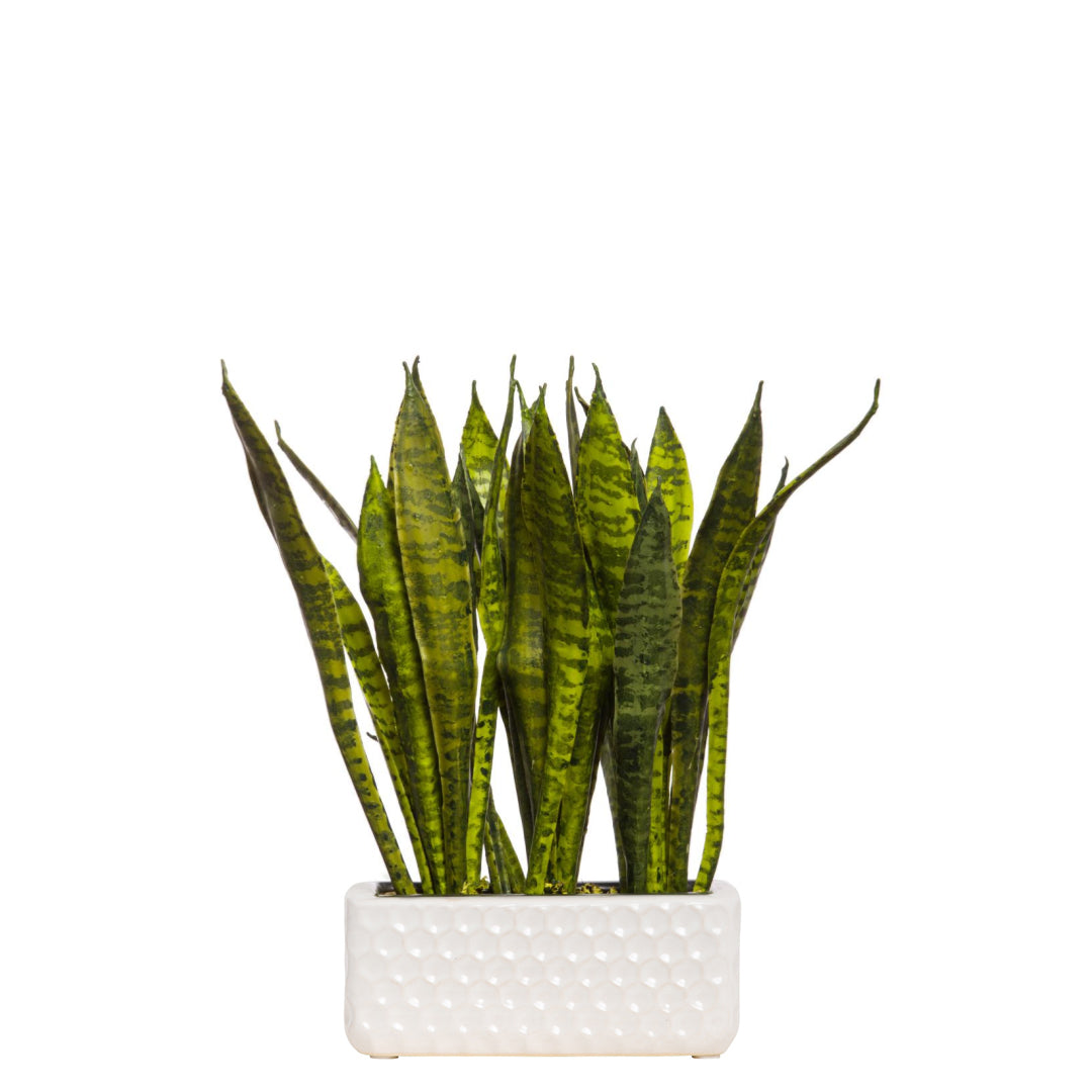 Artificial sansevieria plant in a white textured ceramic rectangular pot on white background