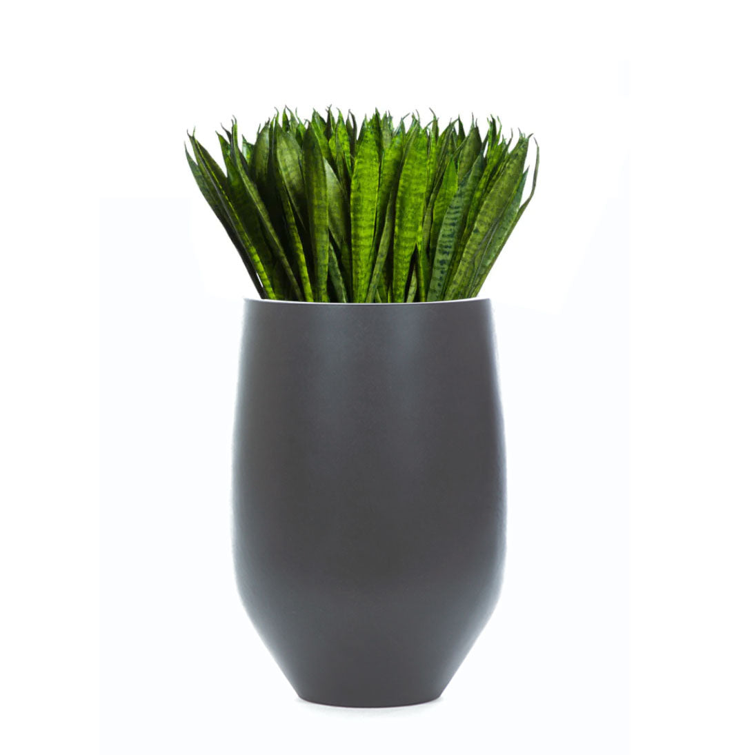 Artificial sansevieria plant in a modern black tapered pot on a white background